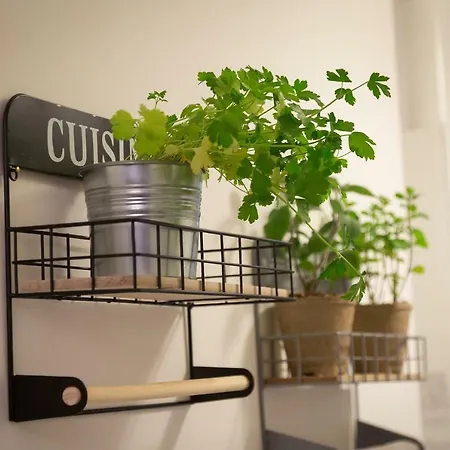 Apartman Guestart Monti